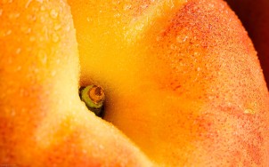 Peach-Close-Up-1-food-wallpaper-fruit-wallpapers-1920x1200