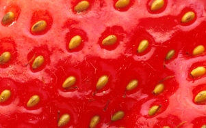 Strawberry-Close-Up-1440x900-43